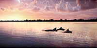 Pano Box for web